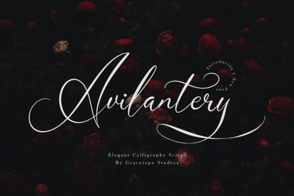 Avilantery: Crafting Luxury with a Calligraphy Script