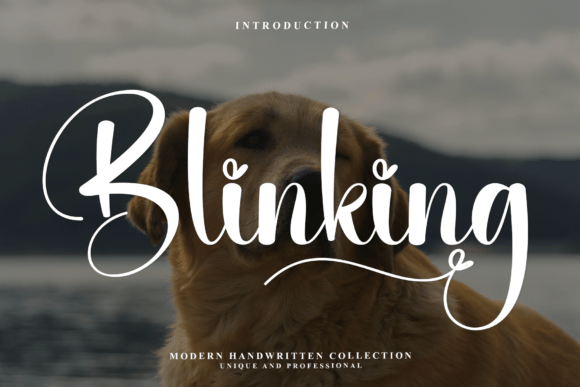 Discover Blinking: The Heart-Filled Script for Authentic Branding